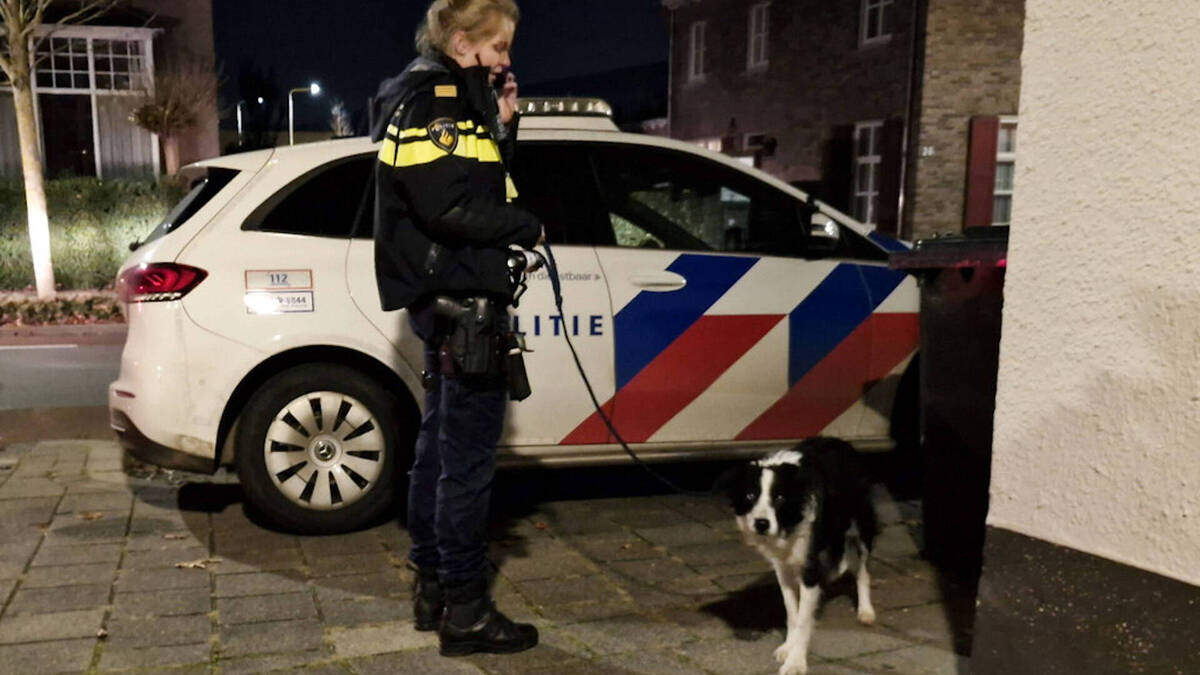 De hond werd uiteindelijk naar een asiel gebracht.
