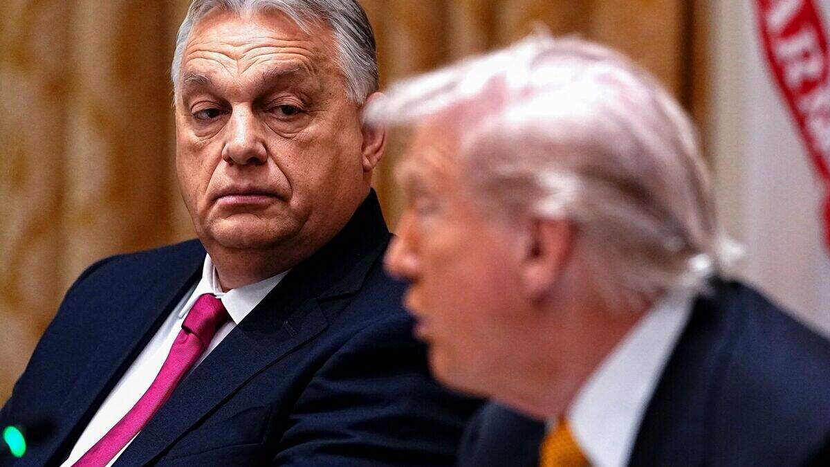 De Hongaarse premier Viktor Orbán en Amerikaanse president Donald Trump in het Witte Huis.