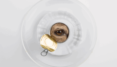 25-jarig jubileum Maastrichts kunstenaarsduo