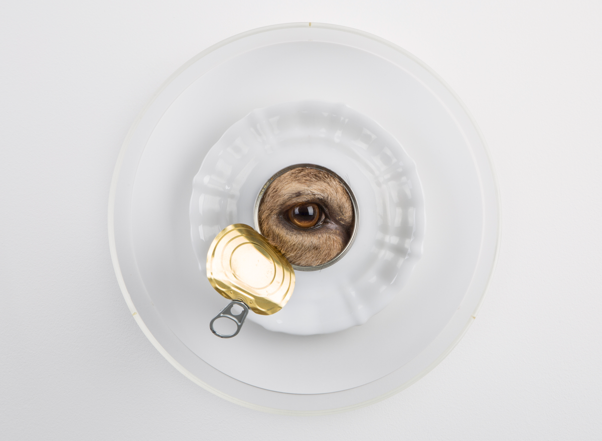 25-jarig jubileum Maastrichts kunstenaarsduo