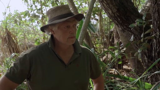 'Het was iedereen voor zichzelf'