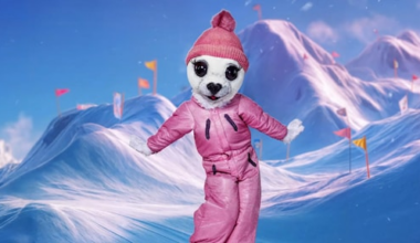 wie schuilt er in de Zeehond van The Masked Singer?