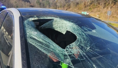 Kat valt uit de lucht, dwars door voorruit auto heen op Amerikaanse snelweg