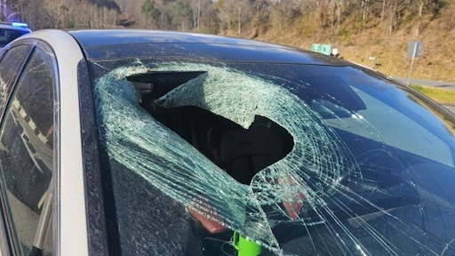 Kat valt uit de lucht, dwars door voorruit auto heen op Amerikaanse snelweg