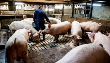 Drie dagen in dienst, 19.000 euro mee na ontslag wegens geloof