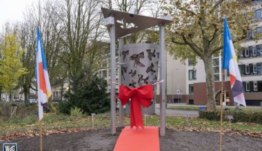 Vervormer met Romeins hout onthuld in Kasteelpark Nijenborgh