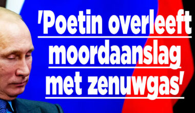 Logo Ditjes & Datjes