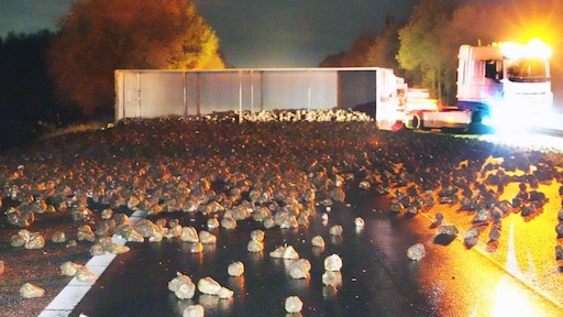 A28 vol met bieten na ongeluk met vrachtwagen, weg afgesloten