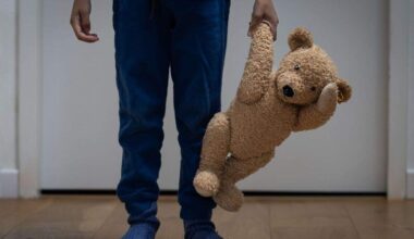 Niet de teddybeer uit het verhaal.