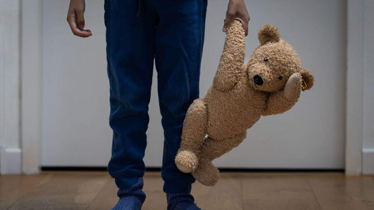Niet de teddybeer uit het verhaal.