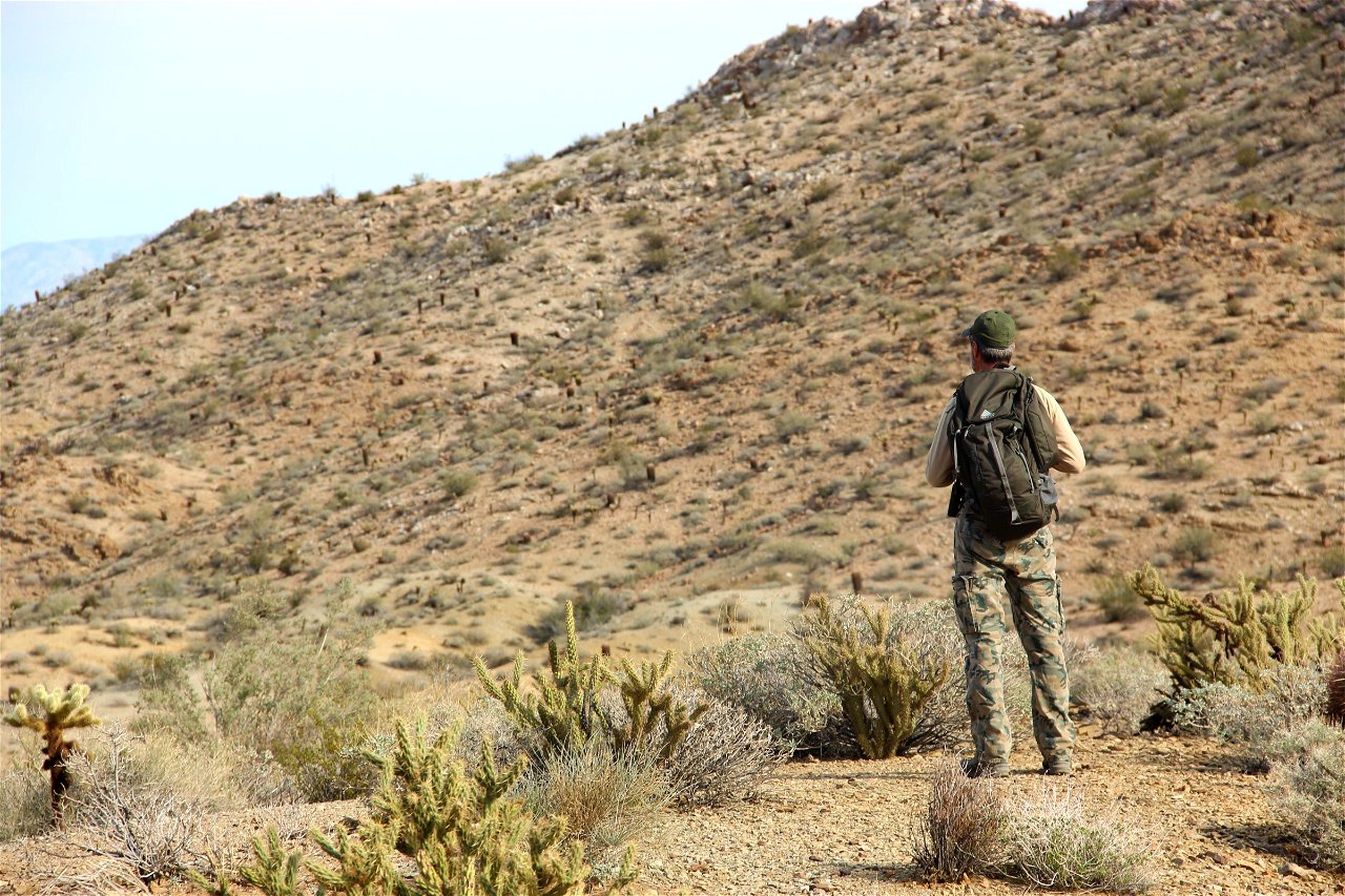 Veertig procent van Spanje dreigt te veranderen in woestijn