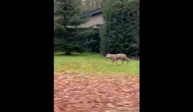 school houdt kinderen uit voorzorg binnen