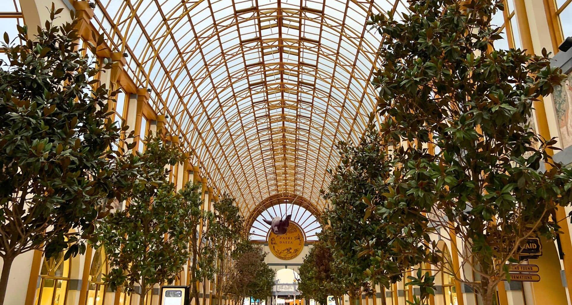 Dierentuineigenaar deelt details over opening tropische kas Pairi Daiza