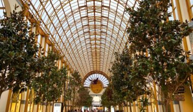 Dierentuineigenaar deelt details over opening tropische kas Pairi Daiza