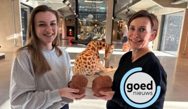 Kringloopwinkel wilde beeldjes Koen Vanmechelen verkopen, tot ze er meer over te weten kwamen