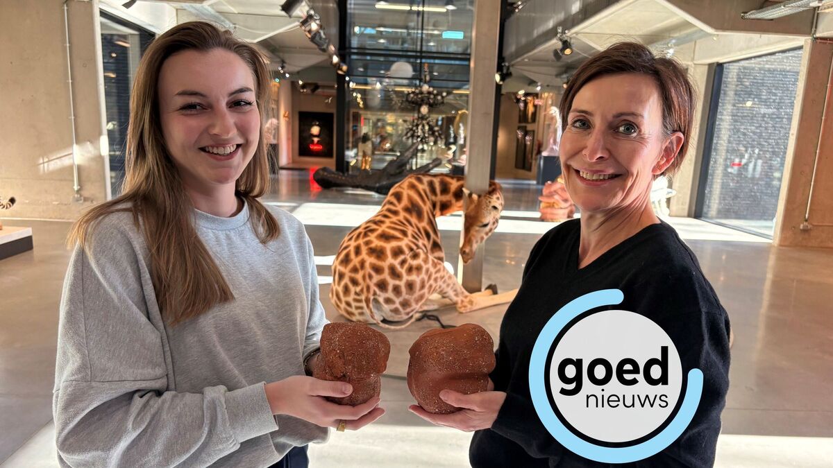 Kringloopwinkel wilde beeldjes Koen Vanmechelen verkopen, tot ze er meer over te weten kwamen