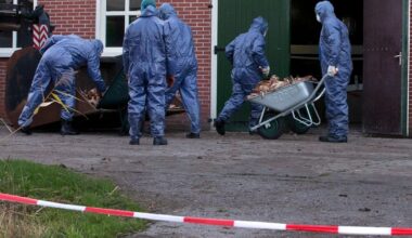Dierenarts over uitbraken vogelgriep: ‘Het virus verspreidt zich razendsnel’