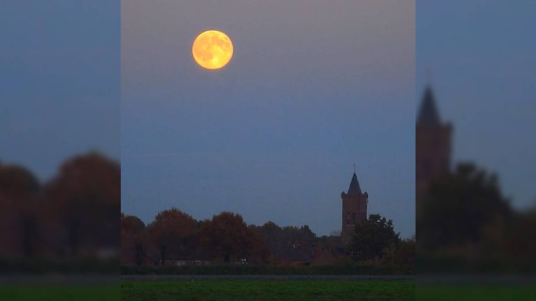Bij Schaijk (foto: Jarno van Santvoort).