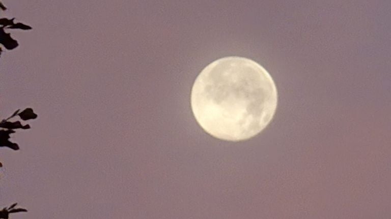 Foto: Wim Hamerling.