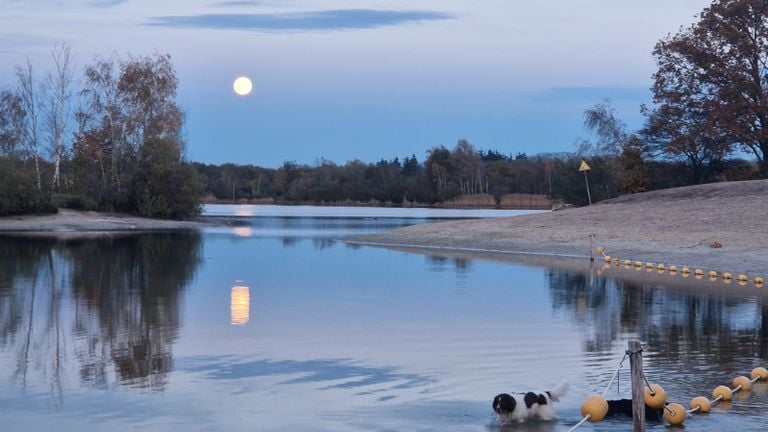 De Galderse Meren bij Breda (foto: Henk van Ingen).