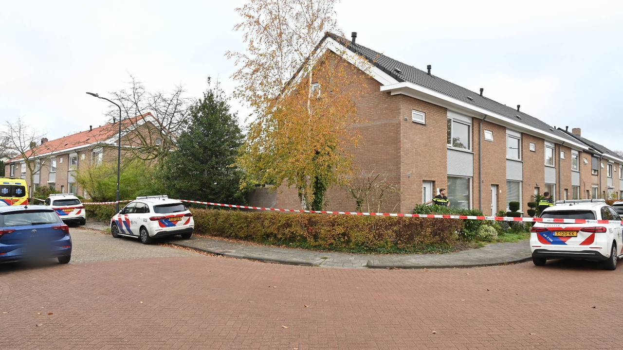 Profielfoto van Daan Daniëls