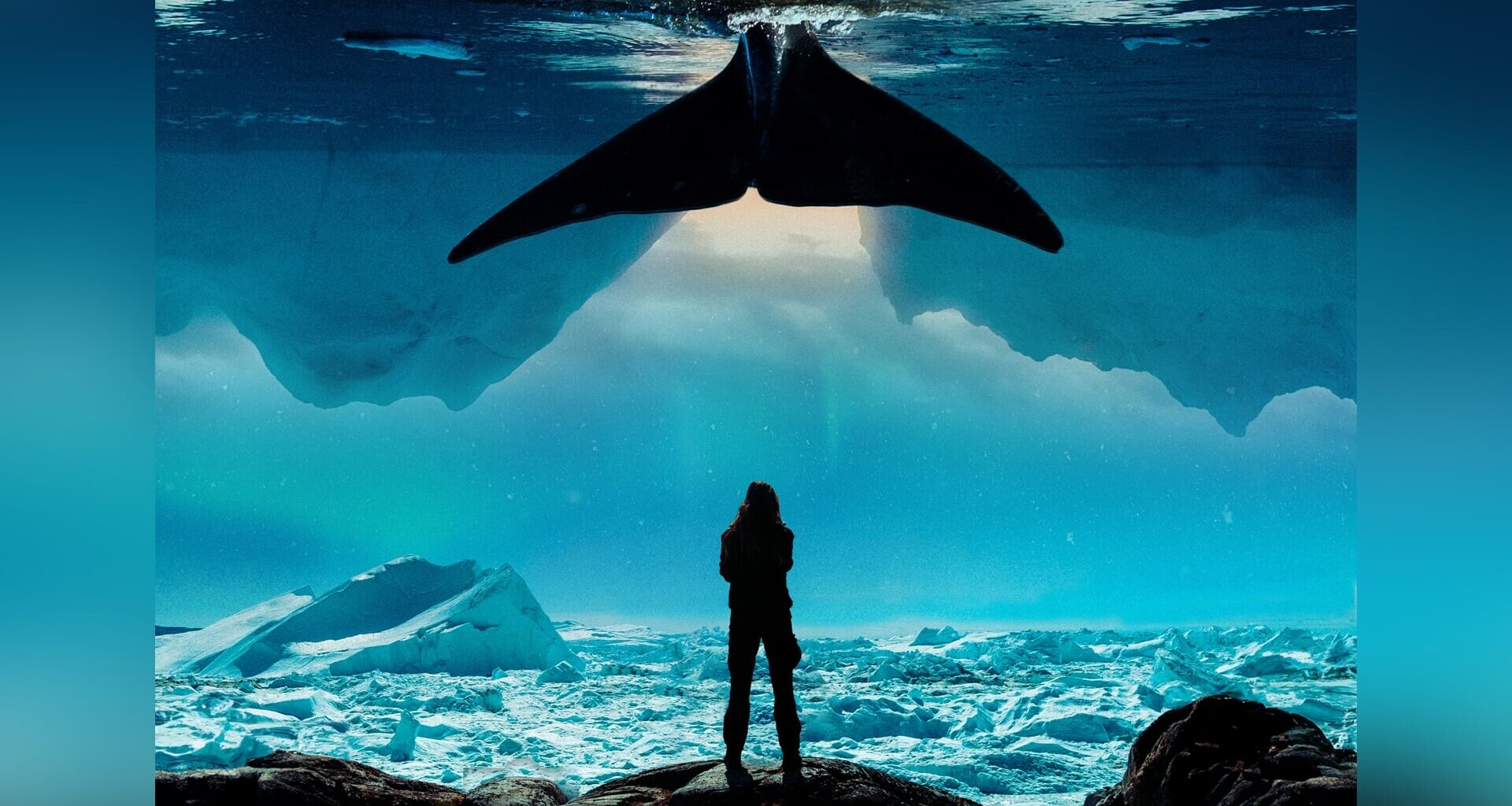 Project ‘WALFISK’ in Sneek: Mediakunst in en rondom de grachten