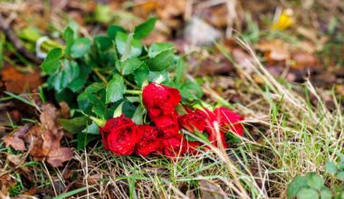 Bloemen voor omgekomen vrouw (23) - Omroep West