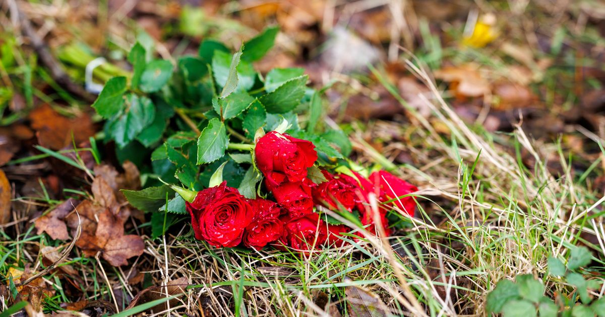 Bloemen voor omgekomen vrouw (23) - Omroep West