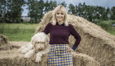 ‘Boer zoekt vrouw aapt B&B vol liefde na’