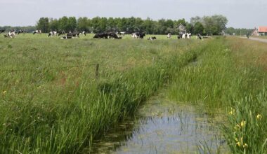 Foto van Wim van Gruisen