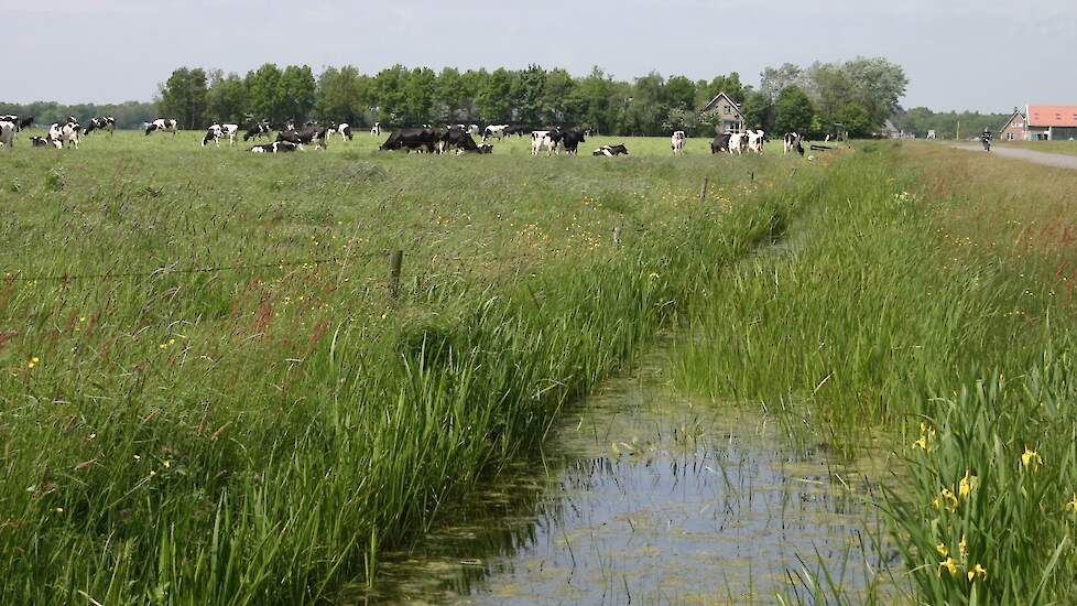 Foto van Wim van Gruisen