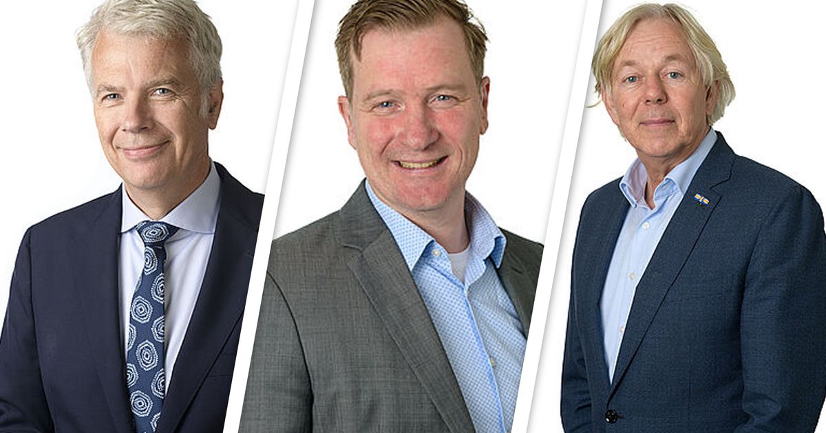 Alle wethouders van gemeente Wijk bij Duurstede leggen per direct functie neer - RTV Utrecht