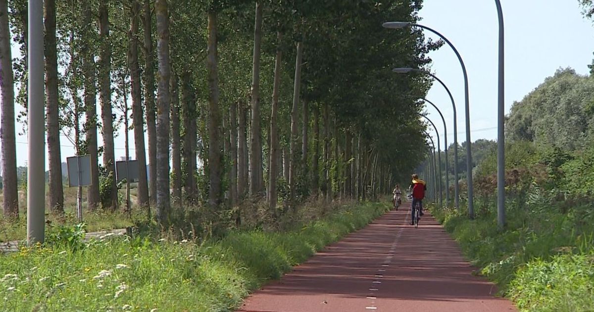 26-jarige verdachte van verkrachtingen in Meerstad en Assen voor de rechter