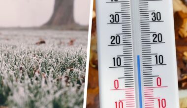 Van ijzel tot storm: wat heeft november dit jaar in petto?