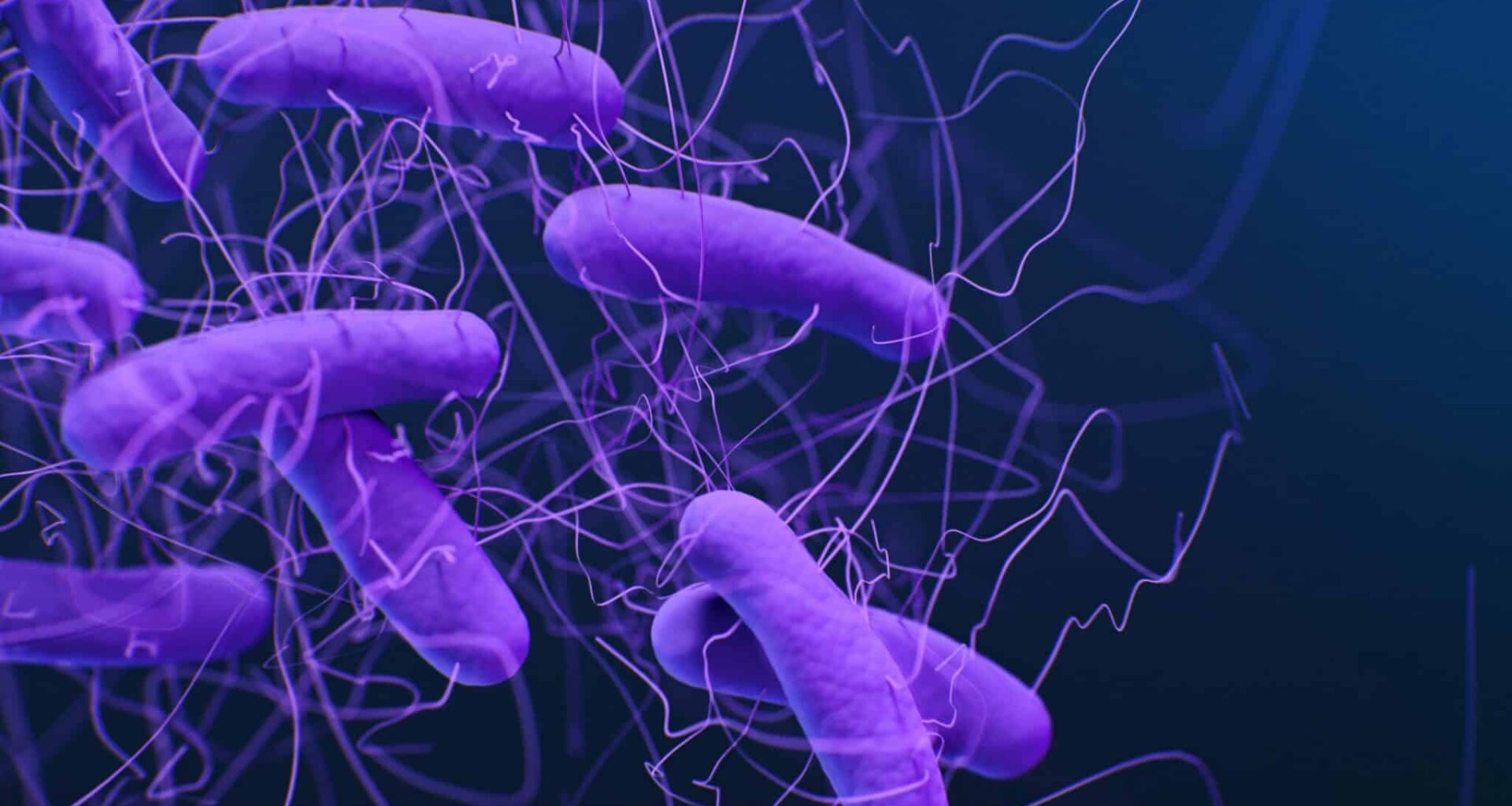 De vergrijzing dreigt een grote gezondheidscrisis in Europa flink te verergeren