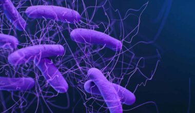 De vergrijzing dreigt een grote gezondheidscrisis in Europa flink te verergeren