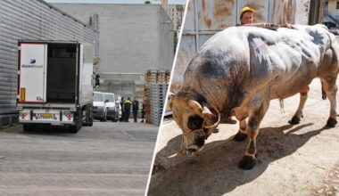 Slachterij Vion in Tilburg (foto: Toby de Kort - SQ Vision).