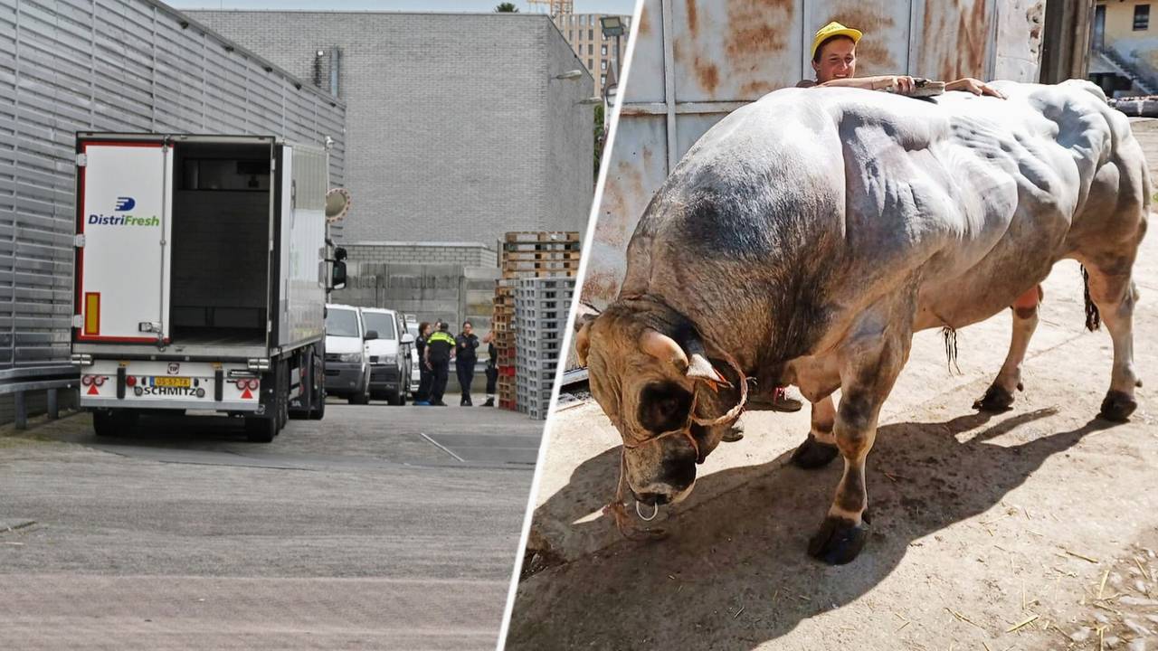 Slachterij Vion in Tilburg (foto: Toby de Kort - SQ Vision).