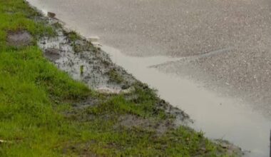 SK-Media / Persbureau Heitink.