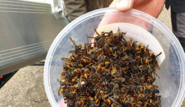 Archieffoto: Omroep Brabant.