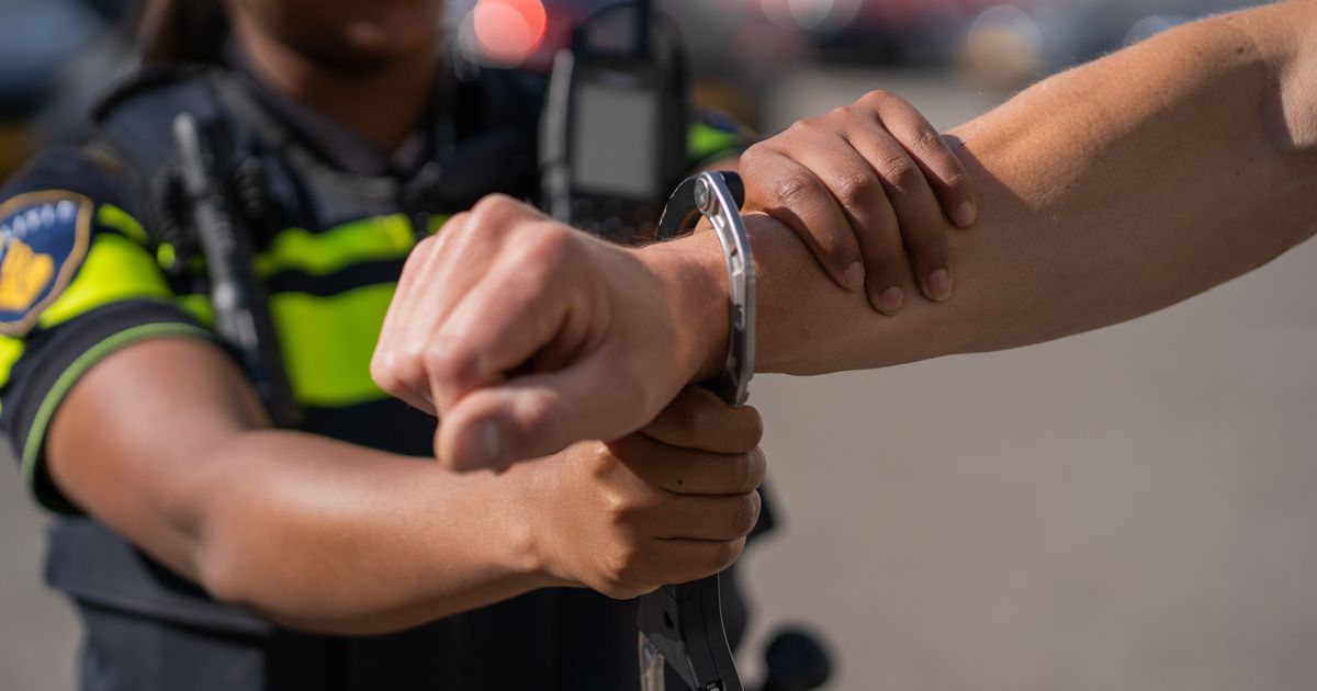 Zedenverdachte aangehouden in Raalter speeltuin de Flierefluiter