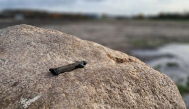 De Week van Drenthe: Bijzondere vondst in Borger en verdriet om overlijden René Karst