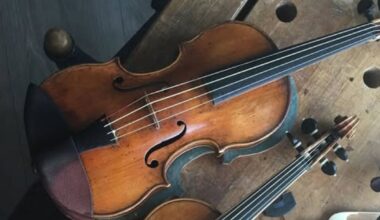 Dure, eeuwenoude viool gestolen in trein: 'Ademt drie eeuwen muziek' - Omroep West