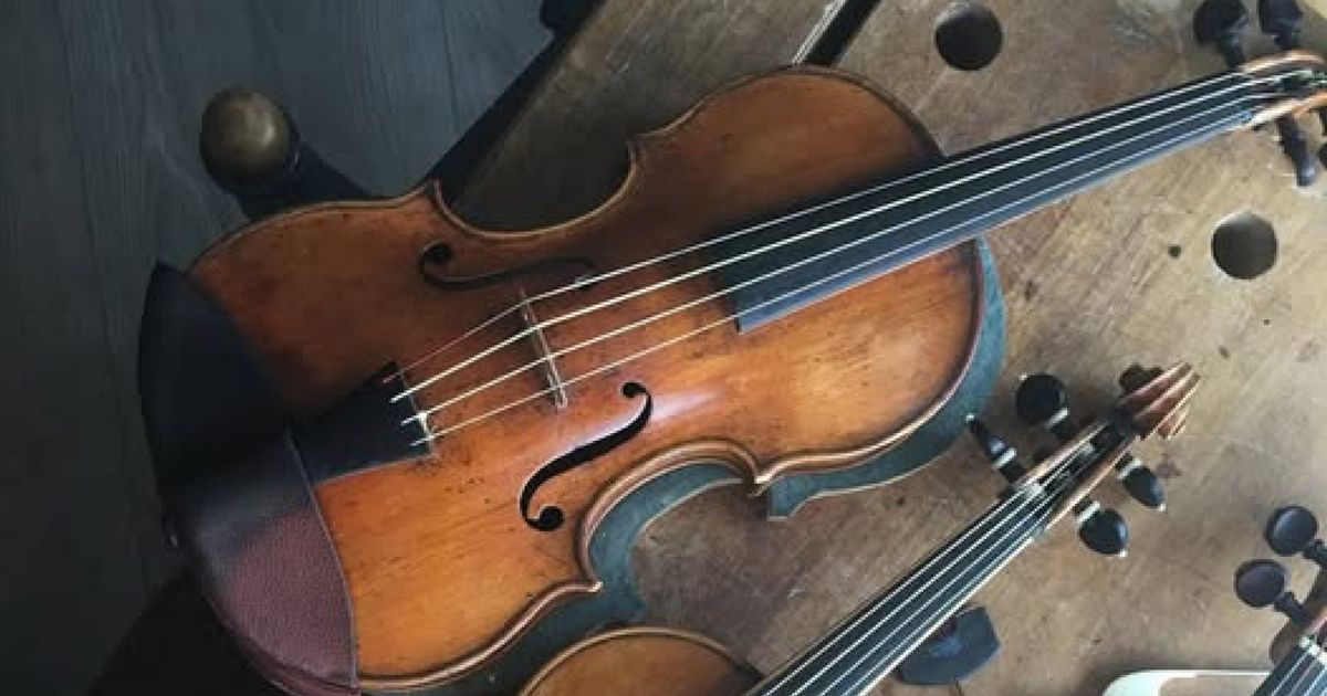 Dure, eeuwenoude viool gestolen in trein: 'Ademt drie eeuwen muziek' - Omroep West