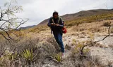 Boven:  cactussen in de woestijn nabij de Mexicaanse stad Saltillo, met uiterst linksboven de biznaga roja. Onder: Expert Adriana Bautista doet veldonderzoek.