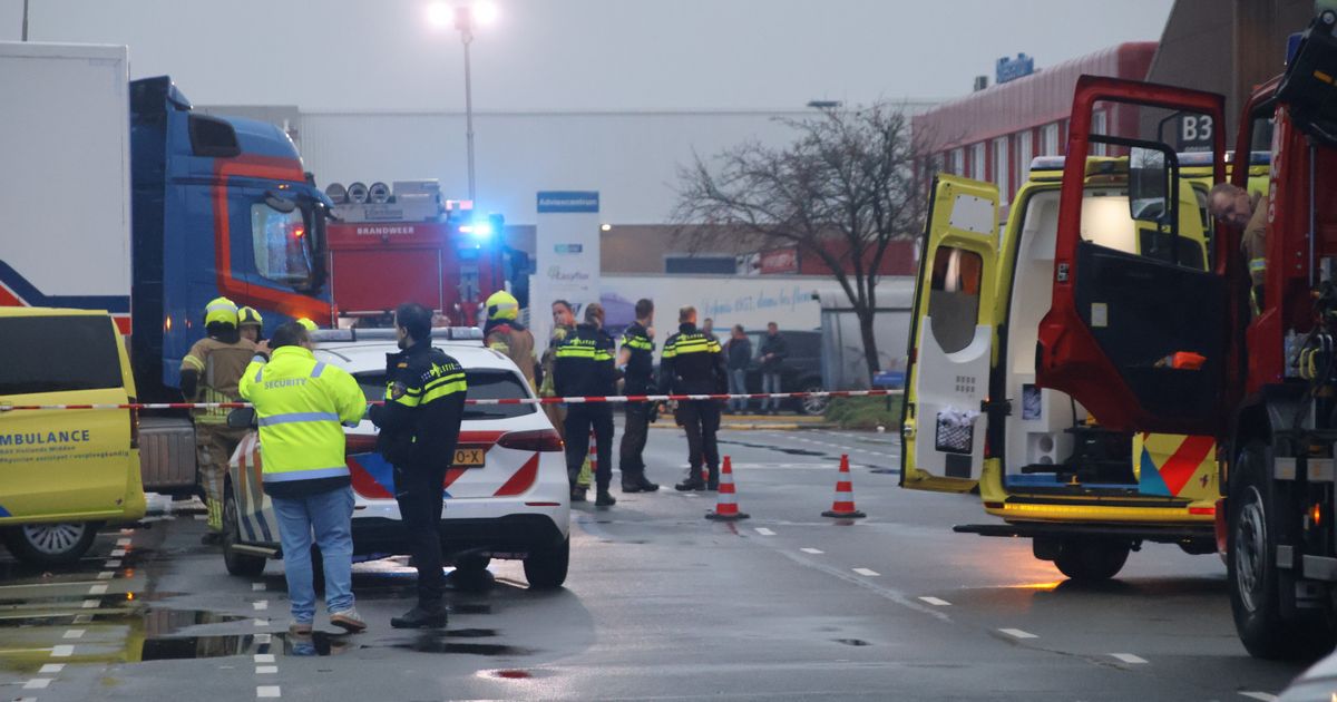 Dodelijk ongeluk op veilingterrein - Omroep West