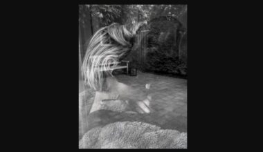 Fotograaf uit Kronenberg wint prijs met foto van doodzieke partner: 'Het voelt heel dubbel'