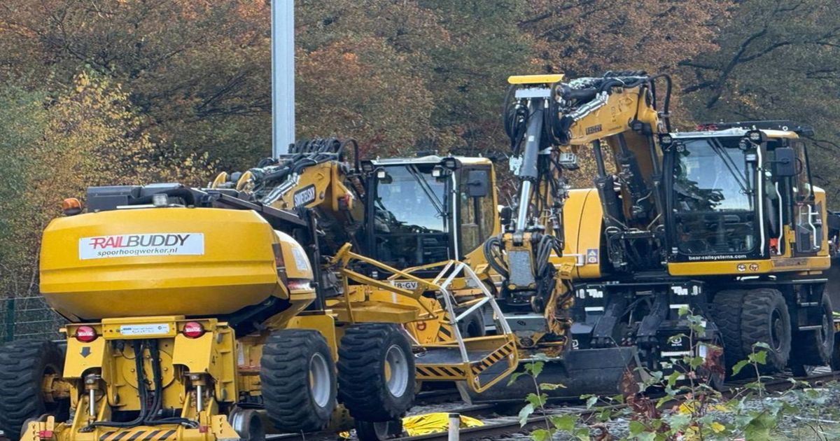 Dordtenaar omgekomen bij ongeluk op het spoor - Rijnmond