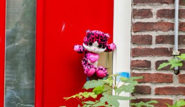 Volop stoornissen bij pleegouders John en Daisy, maar waarom krijgen zij toch geen tbs?