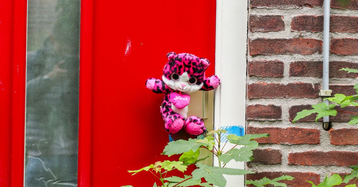 Volop stoornissen bij pleegouders John en Daisy, maar waarom krijgen zij toch geen tbs?